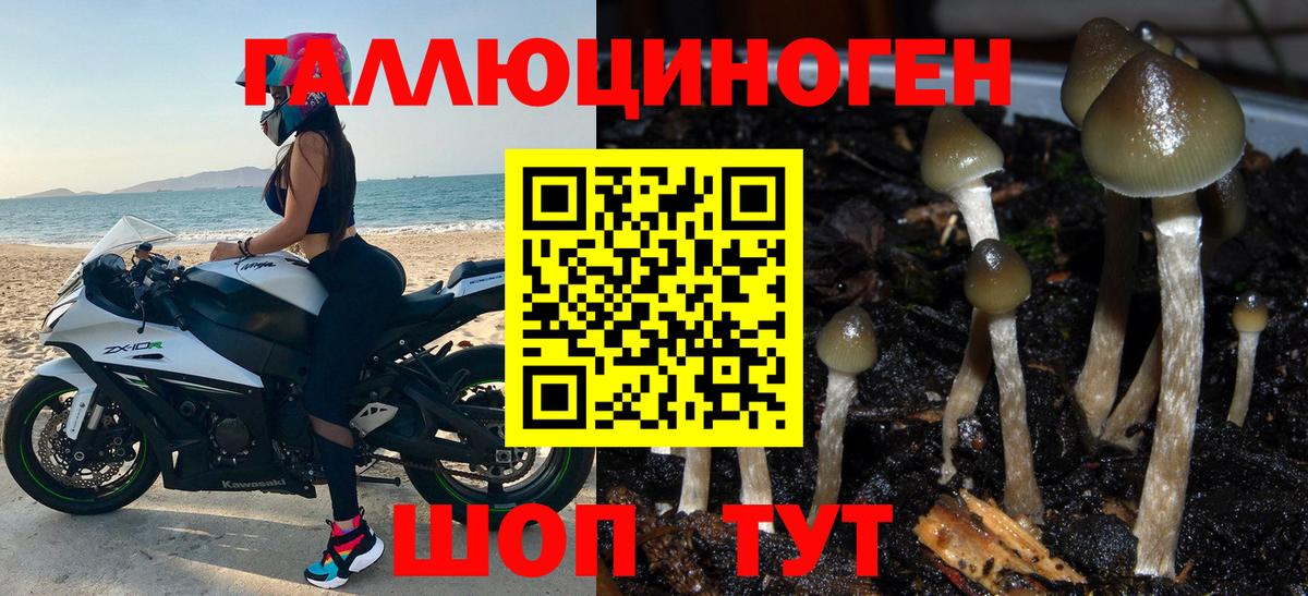 Зеленокумск  Cocaine  Вход с VPN  Бошки Шишки  Купить наркотик  Марихуана  ГАШ  Меф МЯУ МЯУ кристаллы  Мефедрон 