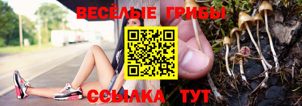 Зеленокумск  Галлюциногенные грибы MAGIC MUSHROOMS  Вход с VPN 