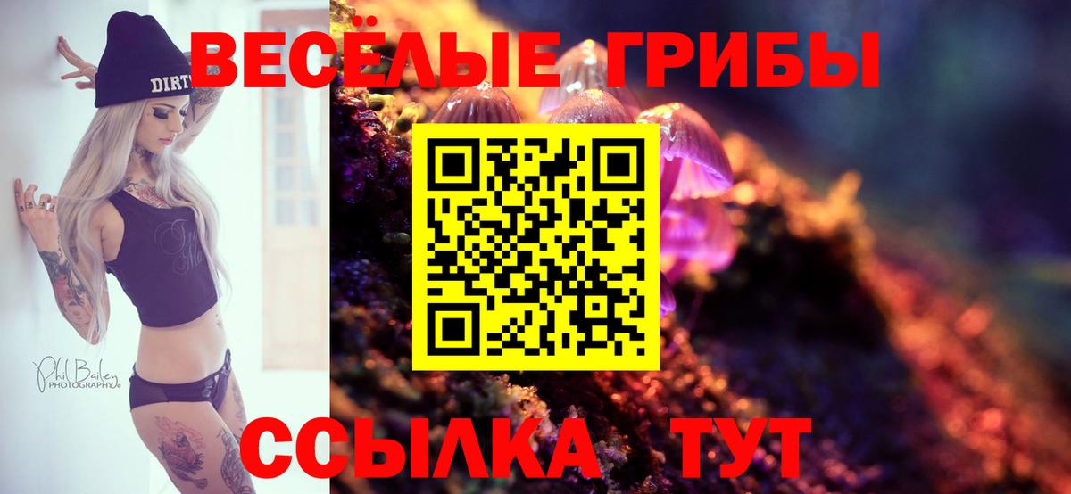 Псилоцибиновые грибы мицелий Зеленокумск